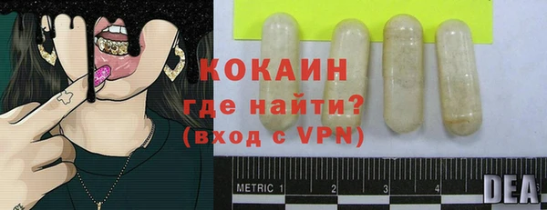 стаф Мегион