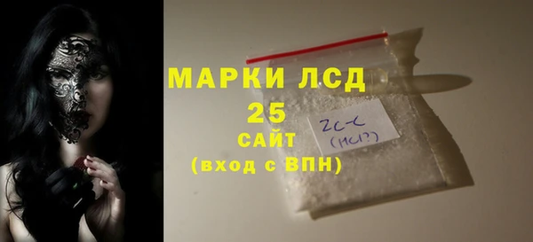 шишки Медногорск