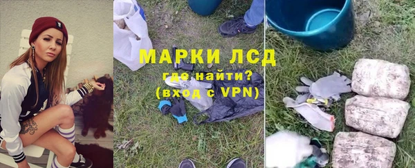 PSILOCYBIN Медвежьегорск