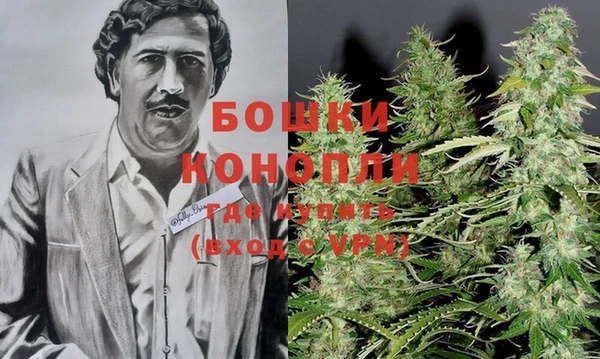 стаф Мегион