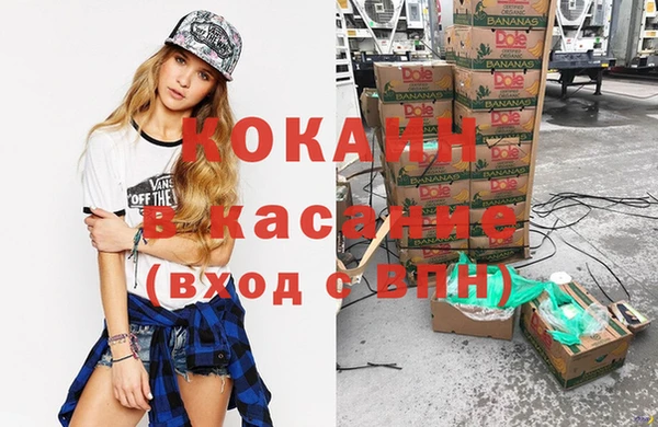 шишки Медногорск
