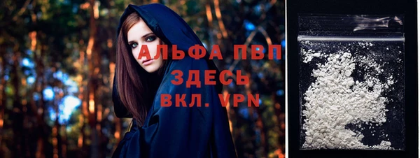 шишки Медногорск