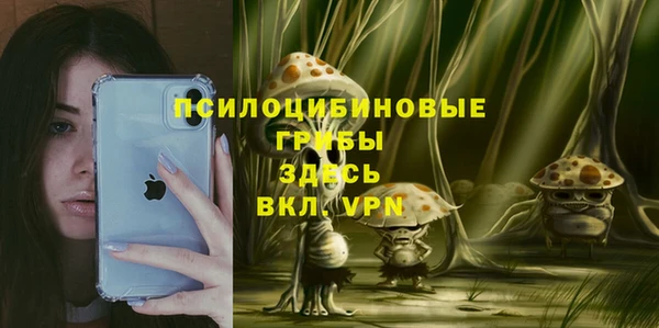 СК Струнино
