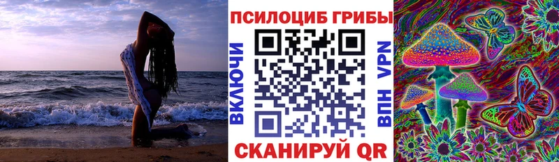 Галлюциногенные грибы Cubensis  Среднеколымск 